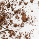 Illustration for article titled How a Forensic Scientist Uses Dirt to Solve Murders